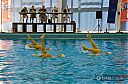 Dateiname=2013-08-04_SynchonizedSwimming_19173.jpg
Dateigröße=128KB
Abmessungen: 800x530
hinzugefügt am: 07. August 2013 2013-08-04_SynchonizedSwimming_19173.jpg