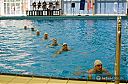 Dateiname=2013-08-04_SynchonizedSwimming_19196.jpg
Dateigröße=133KB
Abmessungen: 800x530
hinzugefügt am: 07. August 2013 2013-08-04_SynchonizedSwimming_19196.jpg