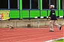 Dateiname=July23_TrackAndField_PAC-Sportspark_5935.jpg
Dateigröße=116KB
Abmessungen: 800x530
hinzugefügt am: 10. Dezember 2012 July23_TrackAndField_PAC-Sportspark_5935.jpg